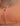 ADIDAS Originals Adicolor Classics Bikini Top Orange