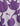 PUMA Essentials+ Blossom Leggings Purple | MegaMall.bg