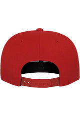 110 Fitted Snapback
