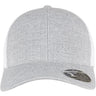 110 Mesh 2-Tone Cap