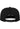 Carbon Snapback