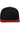 Classic Snapback 2-Tone