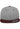 Classic Snapback 2-Tone
