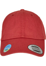 Ecowash Dad Cap