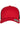 Retro Trucker 2-Tone