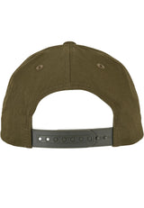 Curved Classic Snapback