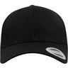 Curved Classic Snapback