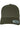 Curved Classic Snapback