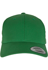 Curved Classic Snapback