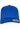 Curved Classic Snapback