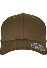 Flexfit 110 Curved Visor Snapback