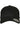 Flexfit 110 Curved Visor Snapback
