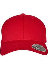 Flexfit 110 Curved Visor Snapback