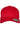Flexfit 110 Curved Visor Snapback