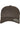 Flexfit 110 Curved Visor Snapback